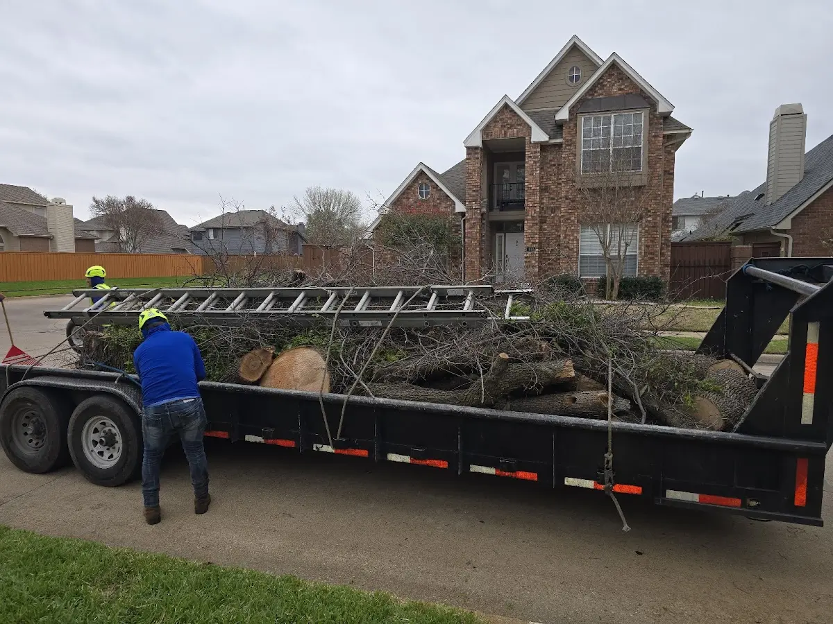 Expert Tree Fertilization with proper safety equipment in Corder